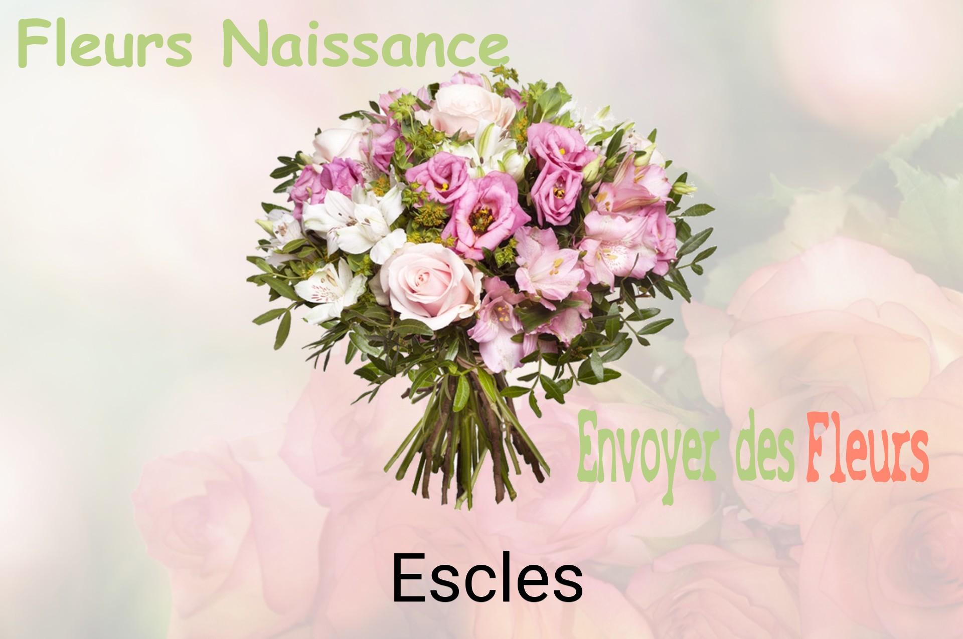 Bouquet de fleurs de naissance livré à Escles