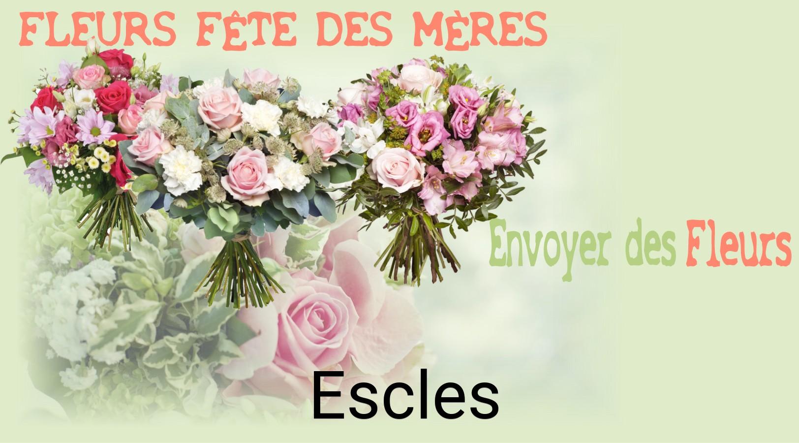 Bouquet de Fête des Mères livré à Escles